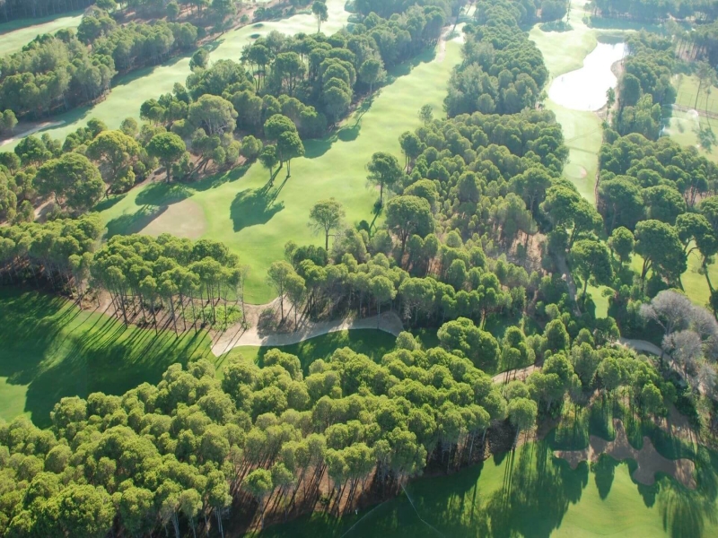 Dunes golfbana
